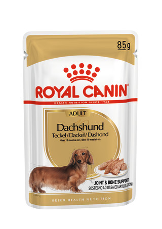 Dachshund Adult (in loaf)